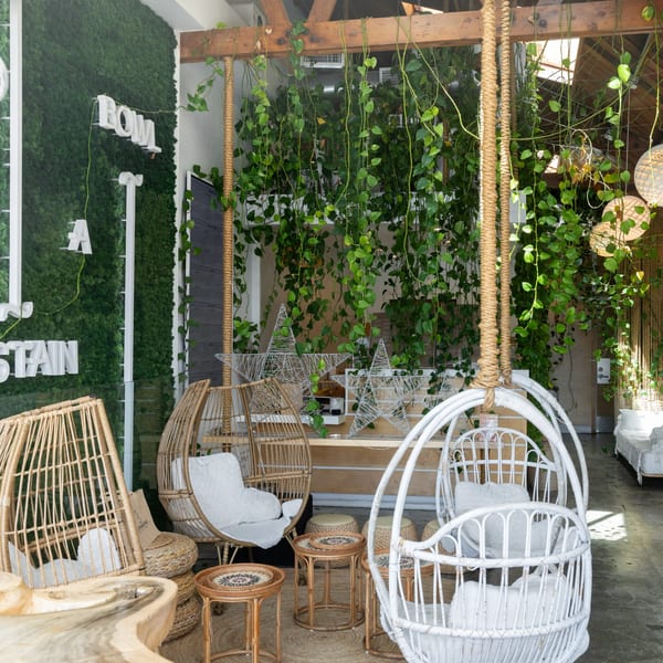 A cafe interior with hanging wicker chairs, lush green plants, and a moss wall with "BOWL A" lettering.