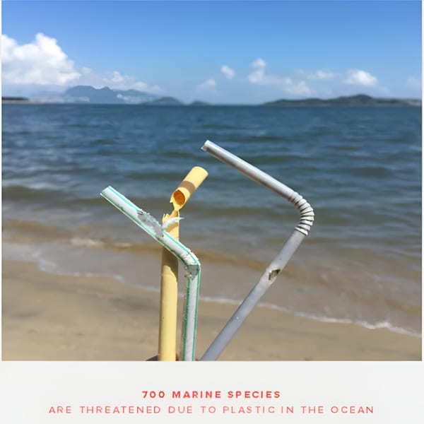 Broken plastic straws littering a sandy beach with the ocean and mountains in the background.