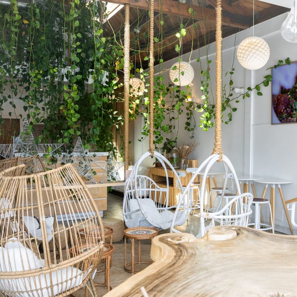 A bright, airy cafe interior with hanging plants, wicker chairs, and white swing seats.