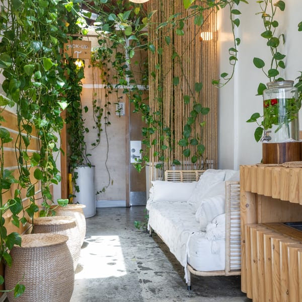 A cozy, plant-filled cafe interior with a white sofa, woven stools, and a water dispenser.