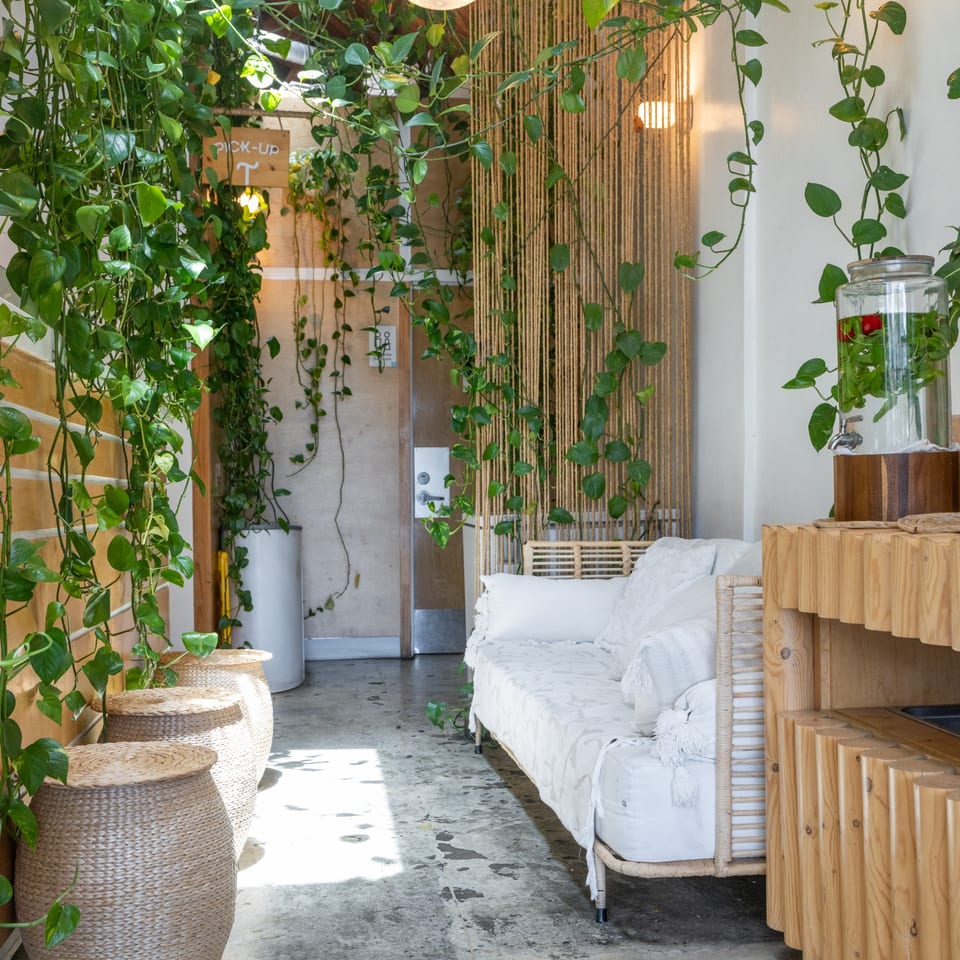 A bright, plant-filled cafe interior with a white sofa, woven stools, and a water dispenser.