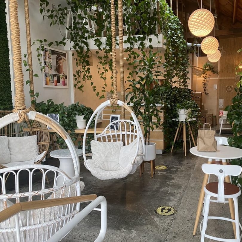 A cafe interior with hanging chairs, lush green plants, and warm lighting, creating a cozy atmosphere.