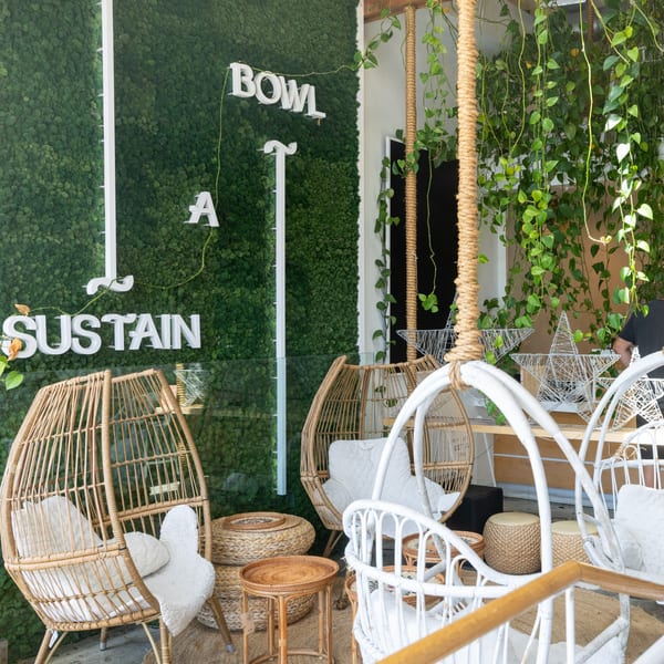 Rattan and white wicker chairs with fluffy cushions in a cafe with a green moss wall.